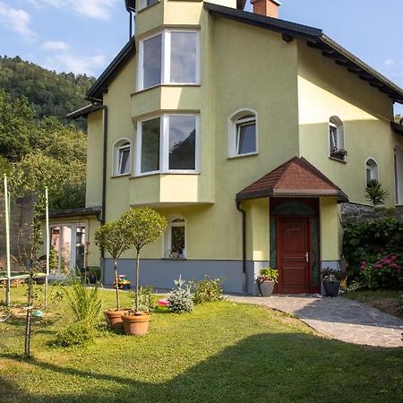 Riverside Villa Avo - Apartment Martin Spodnja Idrija Kültér fotó