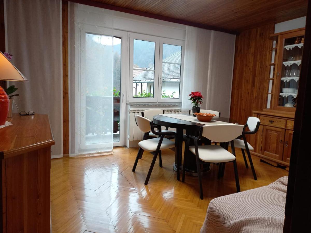 Riverside Villa Avo - Apartment Martin Spodnja Idrija Kültér fotó