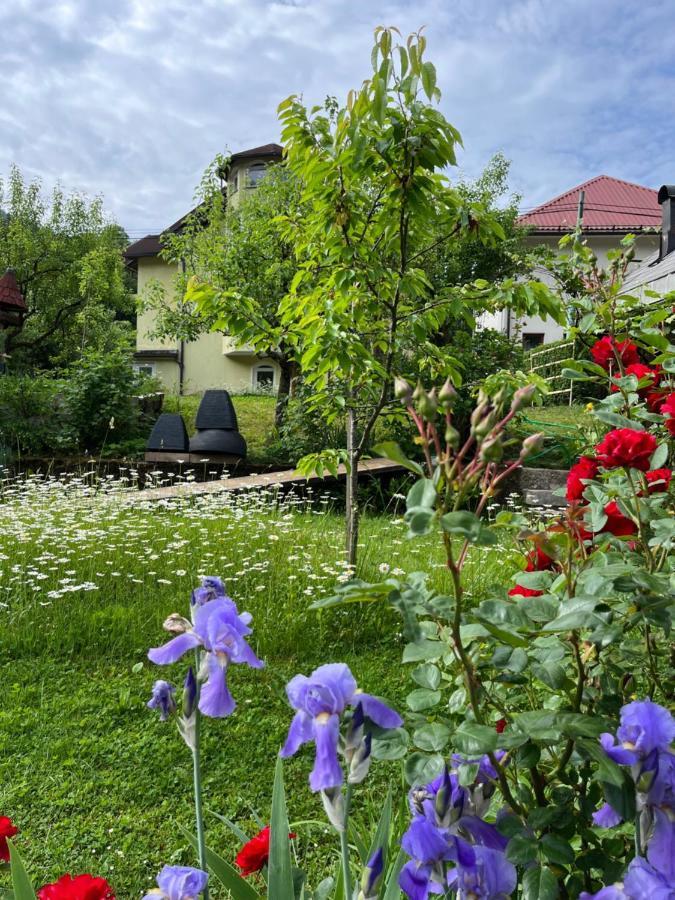 Riverside Villa Avo - Apartment Martin Spodnja Idrija Kültér fotó