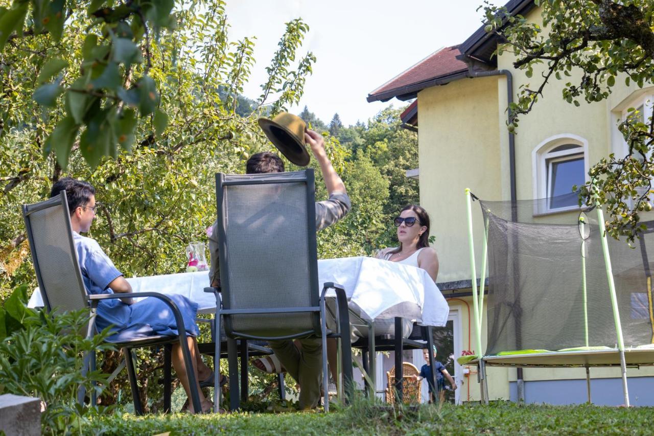 Riverside Villa Avo - Apartment Martin Spodnja Idrija Kültér fotó